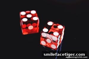AG真人 smilefacetiger